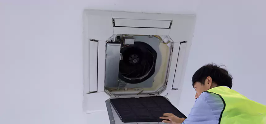 Our Dryer Vent Sanitization Service Services in Wenatchee, WA