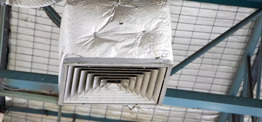 Our HVAC Mold Remediation Service Services in Wenatchee, WA