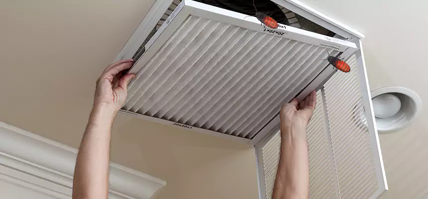 Our Insect Removal from Air Ducts Services in Wenatchee, WA