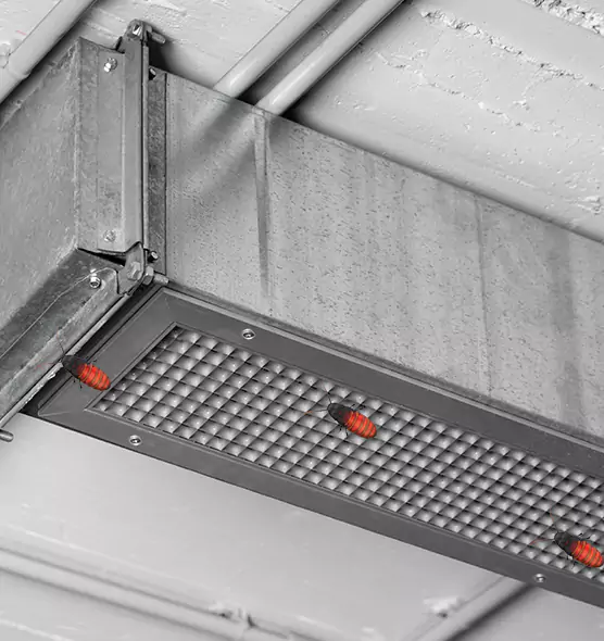About Air Duct Cockroach Removal in Wenatchee, WA