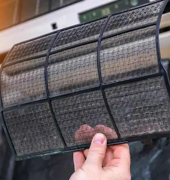 About Pet Dander Duct Cleaning in Wenatchee, WA